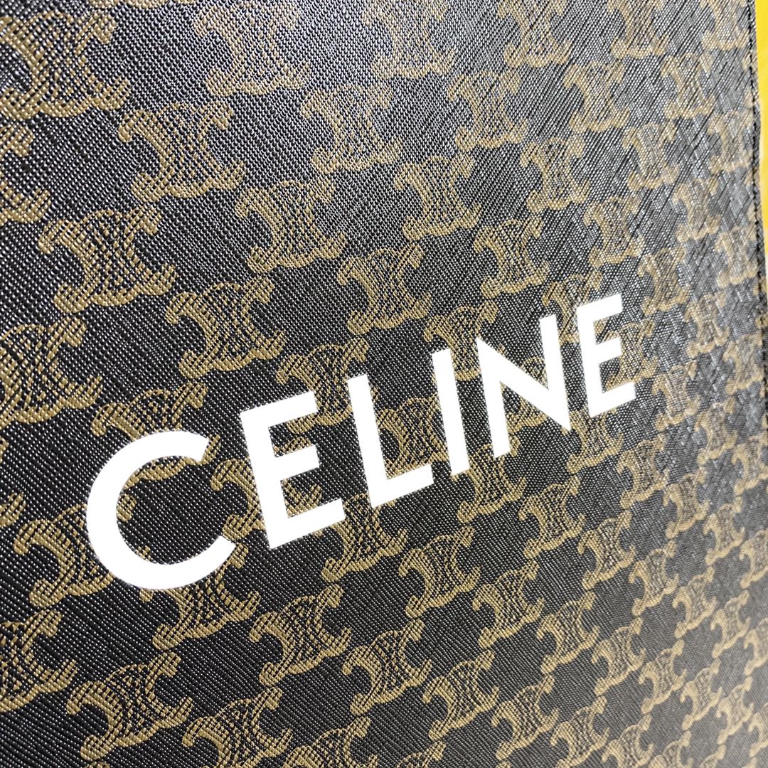 Replica Celine Vertical printed canvas Handbags