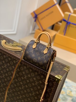 Replica Louis Vuitton Nano Speedy Handbags