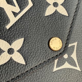 Replica Louis Vuitton Pochette Félicie Handbags