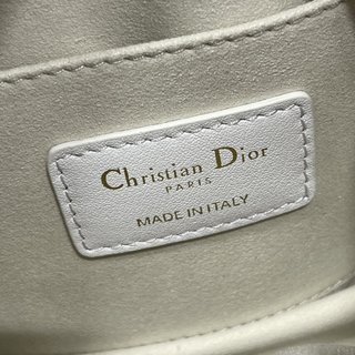 Replica Dior Paris Handbags