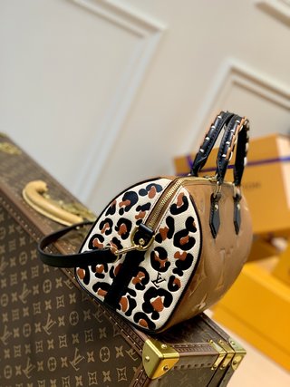 Replica Louis Vuitton Speedy Bandoulière 25 Handbags