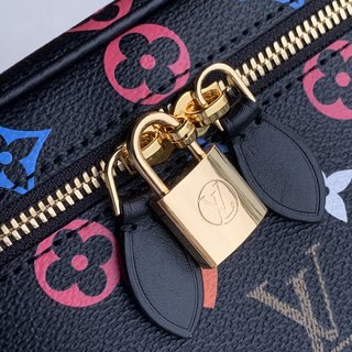 Replica Louis Vuitton Vanity Handbags