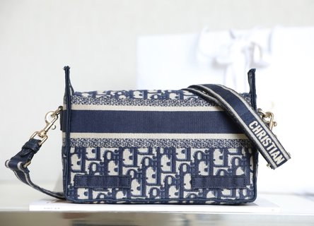 Replica Dior CAMP Handbags