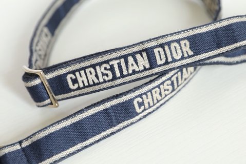 Replica Dior CAMP Handbags