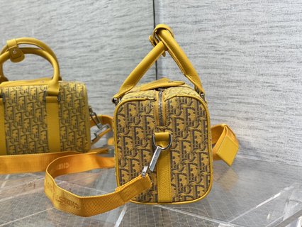 Replica Dior Oblique  Handbags