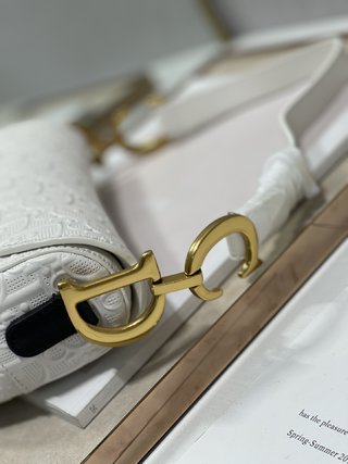 Replica Dior Oblique Saddle Handbags