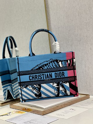 Replica Dior Book Tote Handbags