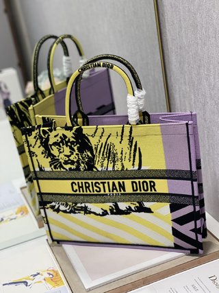 Replica Dior Book Tote Handbags