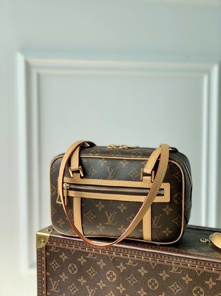 Replica Louis Vuitton 2022 Dauphine Handbags