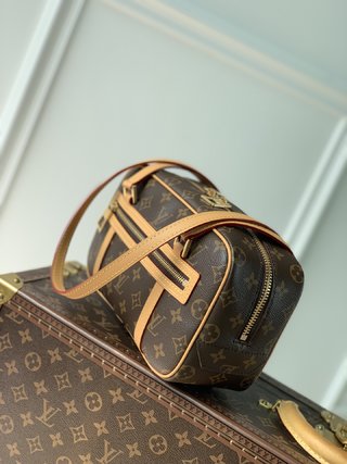 Replica Louis Vuitton 2022 Dauphine Handbags