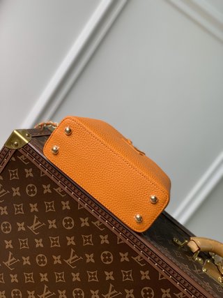 Replica Louis Vuitton 2022 Dauphine Handbags