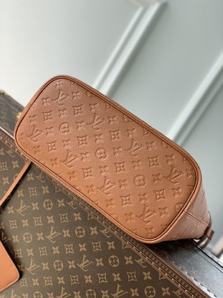 Replica Louis Vuitton 2022 new fashion Handbags