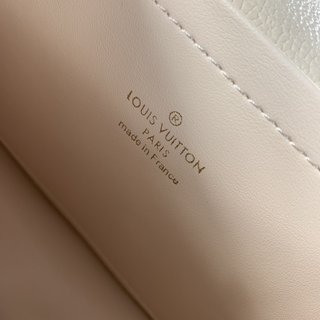 Replica Louis Vuitton 2022 new small bags