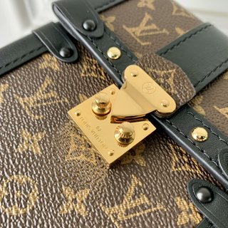 Replica Louis Vuitton 2022 new small bags