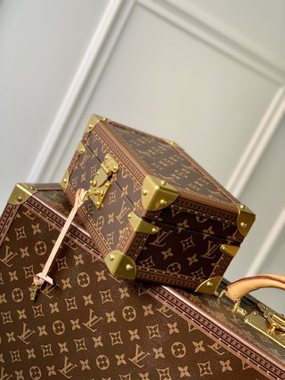 Replica Louis Vuitton 2022 new Beauty case