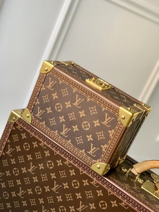 Replica Louis Vuitton 2022 new Beauty case