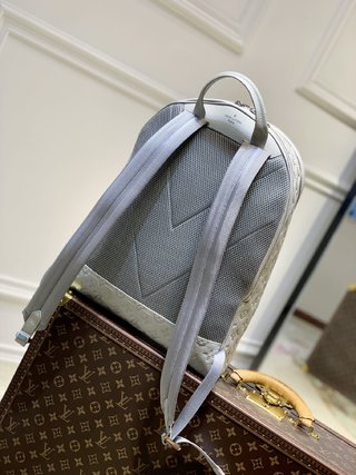 Replica Louis Vuitton 2022 new fashion Backpacks