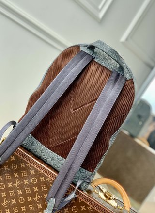 Replica Louis Vuitton 2022 new fashion Backpacks