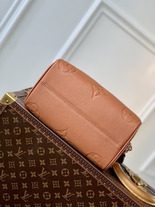 Replica Louis Vuitton 2022 new fashion Handbags