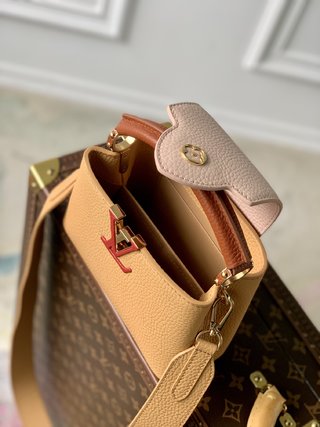 Replica Louis Vuitton 2022 new fashion Handbags