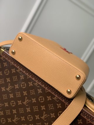 Replica Louis Vuitton 2022 new fashion Handbags