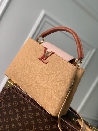 Replica Louis Vuitton 2022 new fashion Handbags