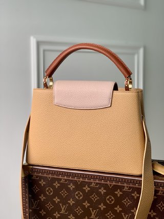 Replica Louis Vuitton 2022 new fashion Handbags