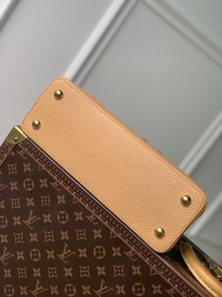 Replica Louis Vuitton 2022 new fashion Handbags