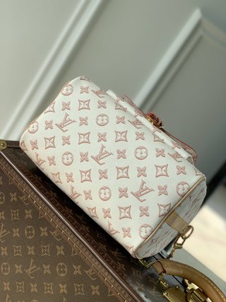 Replica Louis Vuitton 2022 new fashion Handbags M20919