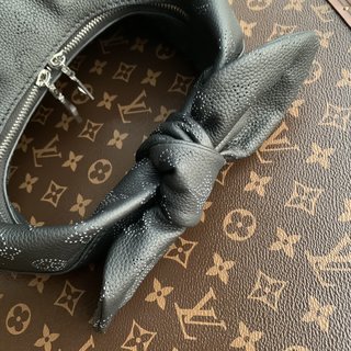 Replica Louis Vuitton 2022 new fashion Small Bags M20703