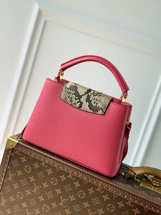 Replica Louis Vuitton 2022 new fashion Handbags N81209