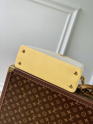 Replica Louis Vuitton 2022 new fashion Handbags M59873