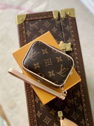 Replica Louis Vuitton 2022 new fashion Small Bags M81339