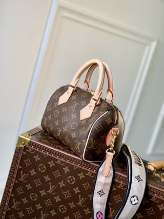 Replica Louis Vuitton 2021 Damier Ebène Handbags