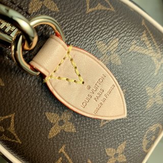 Replica Louis Vuitton 2021 Damier Ebène Handbags