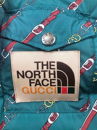 Replica The North Face*Gucci 2022 new down jacket vest in green